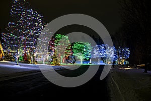 Colorful holiday lights display in suburb