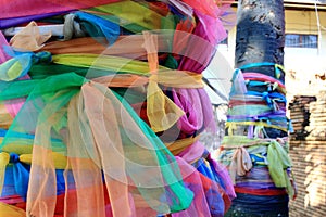 Colorful Holy Fabric Wrapped Around Coconut Tree, Thai Superstitions and Beliefs