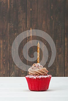 Colorful Homemade Birthday Cupcake With One Golden Candle. Copy