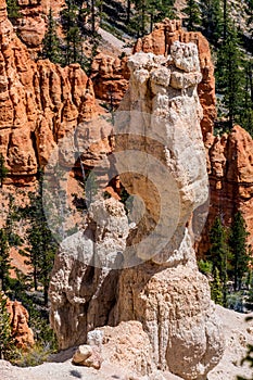 Colorful Hoodoo Rock Formations in Bryce Canyon National Park, U