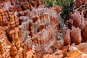 Colorful Hoodoo Rock Formations in Bryce Canyon National Park, U