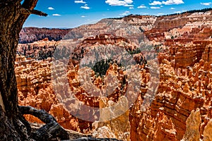 Colorful Hoodoo Rock Formations in Bryce Canyon National Park, U