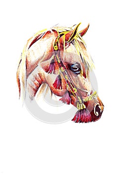 Colorful horse art illustration grunge painting photography winter