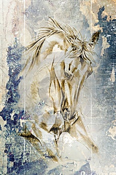 Colorful horse art illustration grunge painting photography winter