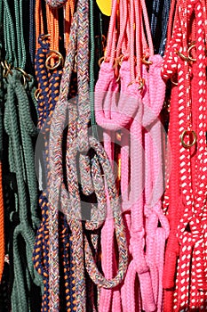 Colorful horse reins