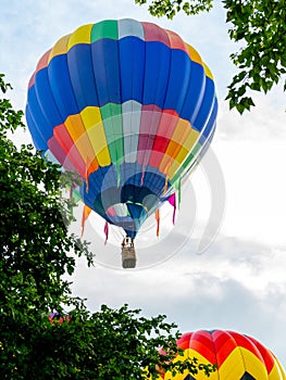 Colorful hot air balloon amongst the trees