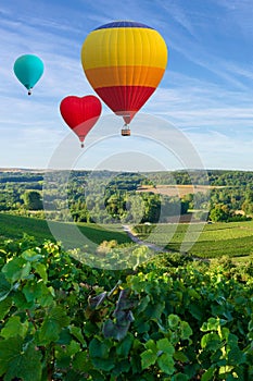 Colorful hot air balloons flying over champagne Vineyards at sunset montagne de Reims photo
