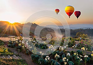 Colorful hot-air balloons flying over the mountain at sunset. Hot air balloon floating over the hill in sunrise. Travel and air