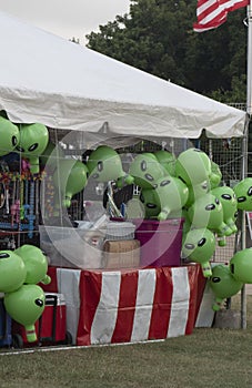 Plano Texas Balloon Festival photo