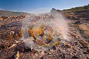 Colorful Hot Springs At Lake Bogoria, Kenya