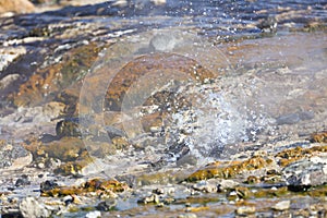 Colorful Hot Springs At Lake Bogoria, Kenya