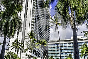 Colorful Hotels Buildings Palm Trees Waikiki Beach Honolulu Hawaii