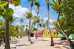 Colorful houses on Catalina beach, dominican republic with palm trees