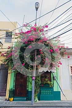 Vistoso casas fachadas en la ciudad de 