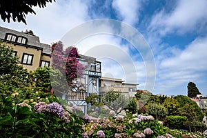 Colorful Houses and Flowers of Lombard Street - San Francisco, California