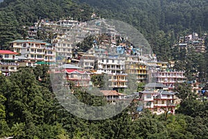 Colorful houses and a green pine forest in Himalaya mountains in Dharamsala, India