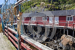 Colorful houses and harbor in Flakstadoya island in Lofoten in Norway