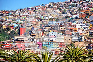 Colorful houses on a hill of Valparaiso Chile