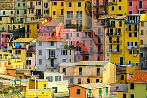 Colorful houses in Manarola, Cinque Terre - Italy