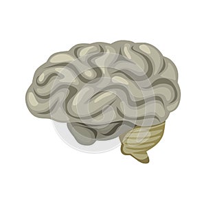Colorful human brain icon cartoon vector illustration