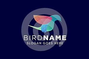 colorful humming bird logo design template