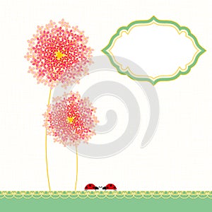 Colorful Hydrangea Flower Garden Party