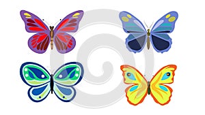 Colorful illustration of butterflies with patterned wings isolated on a white background