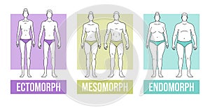 Body types flat vector illustration and endomorph photo