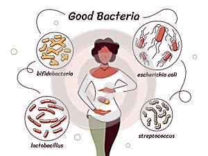 Vector illustration of bacteria useful to the human body photo