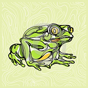 Colorful illustration of frog 1