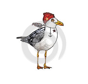 Seagull.Cute hand-drawn seagull in a red cap with a feather ,a star and an anchor on a neck. photo