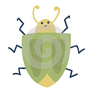 Colorful insect icon wildlife wing detail summer beetle stink bug wild vector illustration.