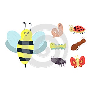 Colorful insects icons isolated wildlife wing detail summer worm caterpillar bugs wild vector illustration.