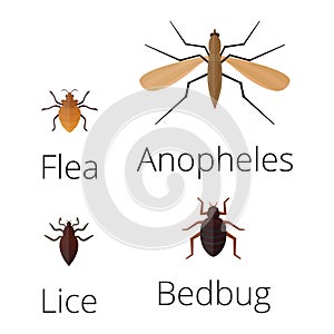 Colorful insects icons isolated wildlife wing detail summer worm caterpillar bugs wild vector illustration.