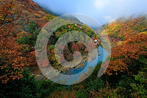 Colorful Japanese autumn landscape near Kyoto