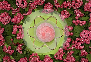 Colorful japanese daifuku mochi sweets with flower decoration