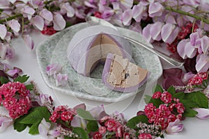 Colorful japanese daifuku mochi sweets with flower decoration