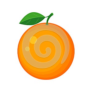 Colorful juicy orange fruit vector illustration isolated on whit photo
