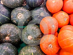 Colorful kabocha gourd / pumpkins sold at grocery store