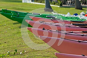 Colorful Kayaks for rent