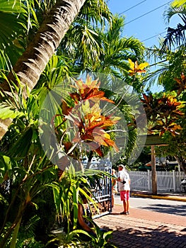 Colorful Keywest