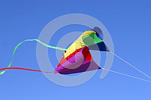 Colorful kite