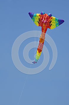 Colorful Kite flying