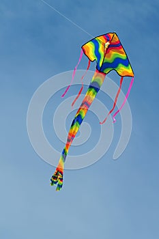 Colorful kite flying