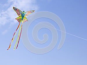 Colorful kite