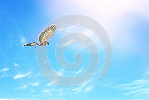 Colorful kite flying in the blue sky through the clouds