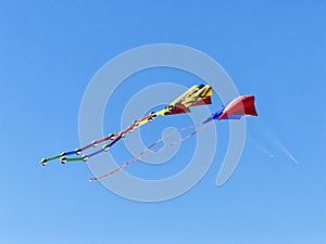 Colorful Kites Blue Sky