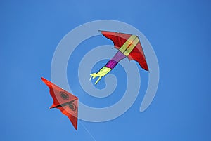 Colorful kites flying