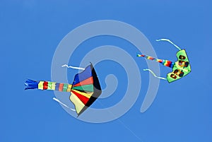 Colorful kites flying