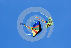 Colorful kites flying